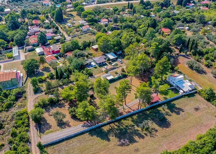 Shimunelka 보드냔