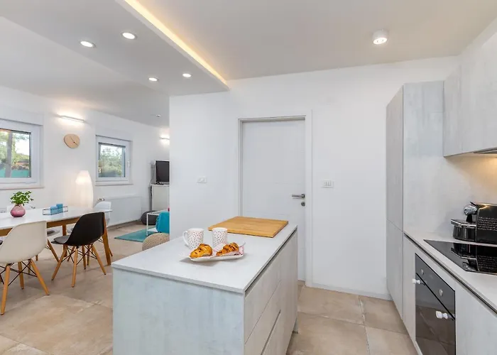 Shimunelka * 보드냔